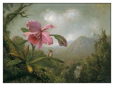 Artwork Title: Untitled