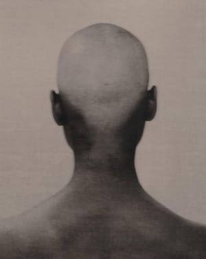 Artwork Title: Untitled