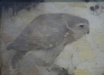 Artwork Title: Roofvogeltje op tak (Bird of Prey on Branch)