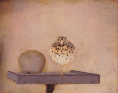 Artwork Title: Thrush in the Manger