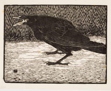 Artwork Title: Young Crow