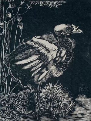 Artwork Title: Nestkuiken  (Nestling)