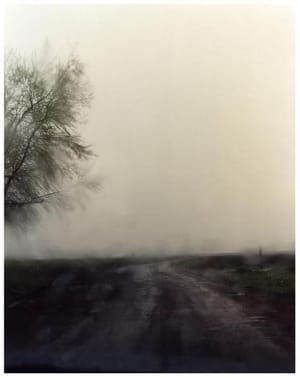 Artwork Title: Rain