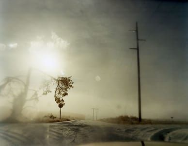 Artwork Title: Untitled