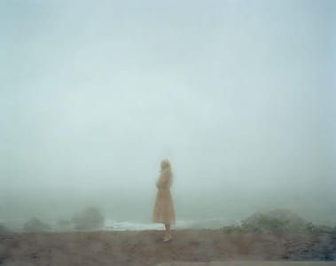 Artwork Title: Untitled