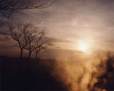 Artwork Title: Untitled