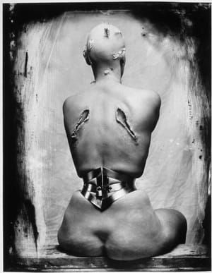 Artwork Title: Untitled