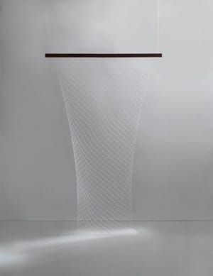 Artwork Title: Netting