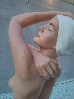 Artwork Title: Monumental Shower