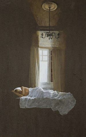 Artwork Title: Asleep Dreaming
