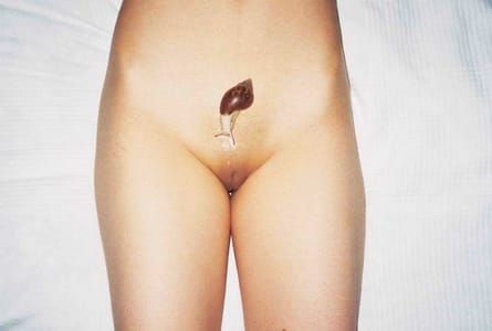 Artwork Title: Untitled