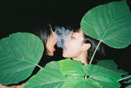 Artwork Title: Untitled