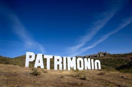 Artwork Title: Patrimonio