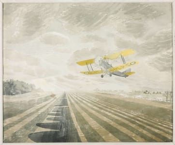 Artwork Title: Tiger Moth