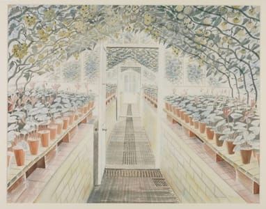 Artwork Title: The Greenhouse: Cyclamen And Tomatoes