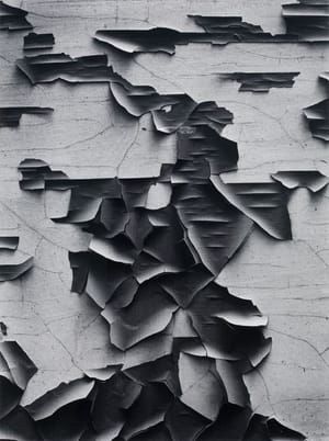 Artwork Title: Untitled