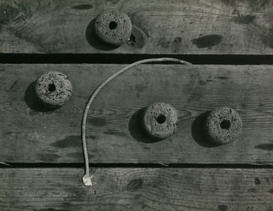 Artwork Title: Untitled