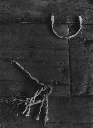 Artwork Title: Untitled