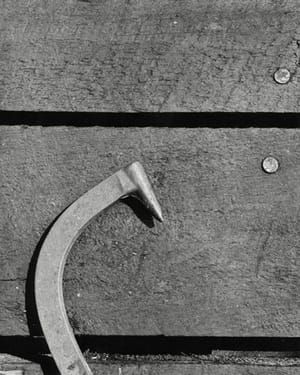 Artwork Title: Untitled