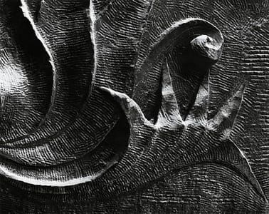 Artwork Title: Untitled