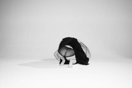 Artwork Title: Oiseau Noir