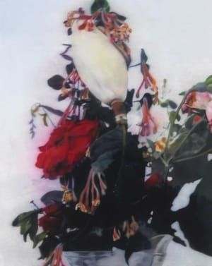 Artwork Title: Untitled (flowers)
