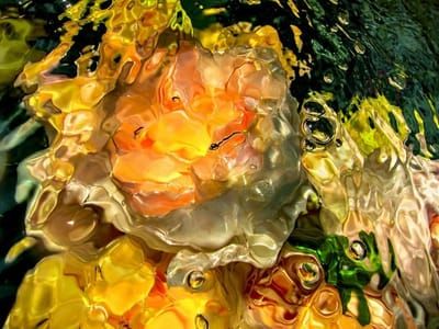 Artwork Title: Untitled, Number Nineteen
