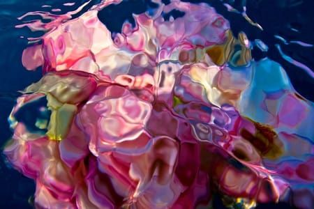Artwork Title: Untitled, Number Thirty-five