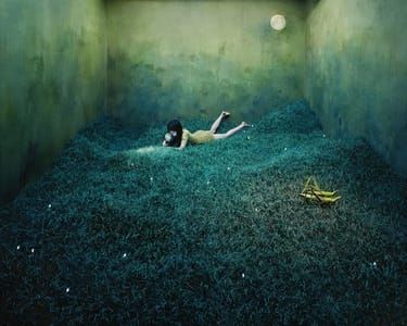 Artwork Title: Treasure Hunt