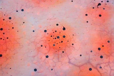 Artwork Title: Fragment N°33