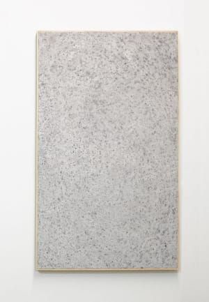 Artwork Title: Crumple A19