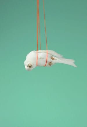 Artwork Title: Bird