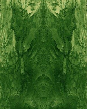 Artwork Title: Untitled