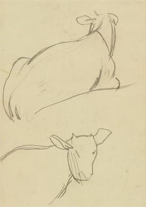 Artwork Title: Study of Cows