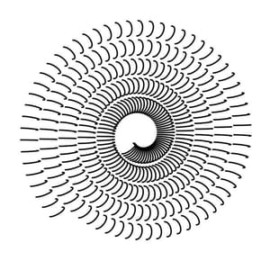 Artwork Title: Coil