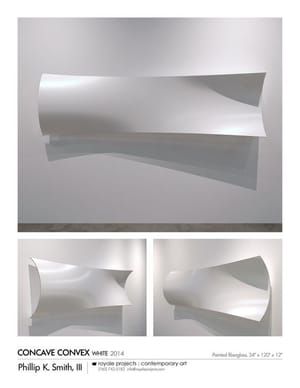 Artwork Title: Concave Convex (white)