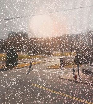 Artwork Title: Windows View