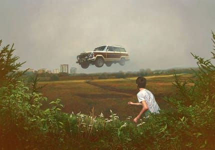 Artwork Title: Airborne