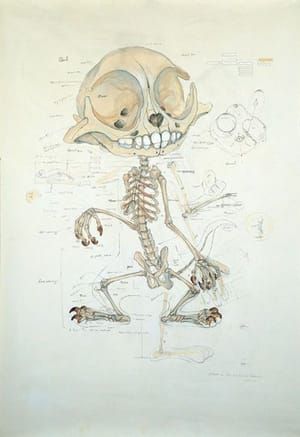 Artwork Title: Untitled