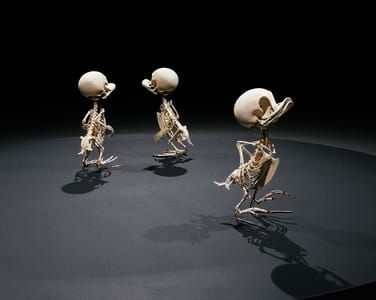 Artwork Title: Huey, Dewey And Louie Skeleton