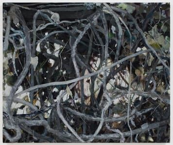 Artwork Title: Vines