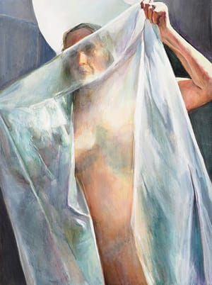 Artwork Title: Transparent Mask