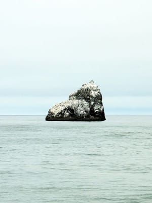 Artwork Title: Untitled