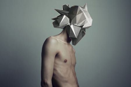 Artwork Title: Polymorphie*