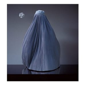 Artwork Title: Woman Object 3