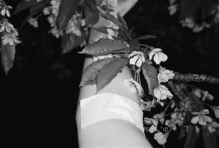 Artwork Title: Untitled