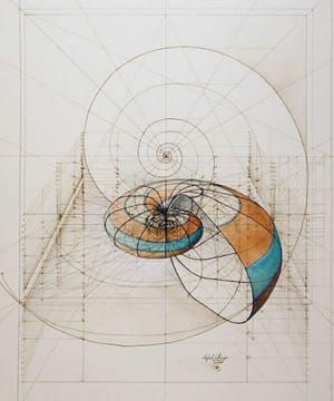 Artwork Title: Nautilus