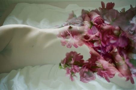 Artwork Title: Untitled
