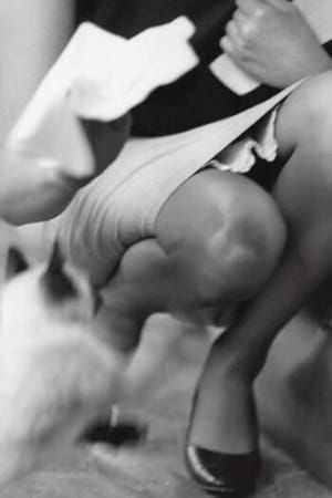 Artwork Title: Untitled