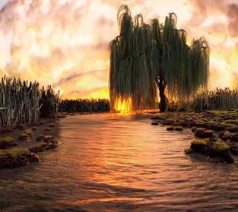 Artwork Title: A New Life #1